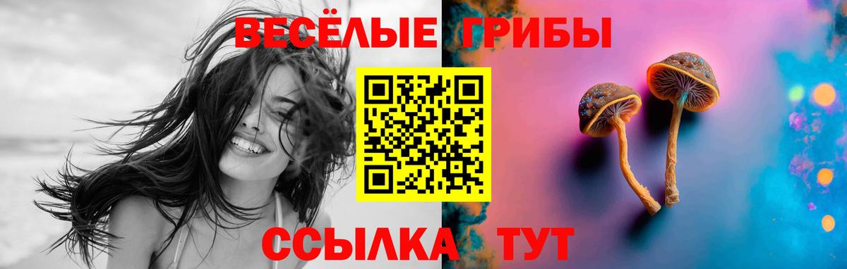 Псилоцибиновые грибы GOLDEN TEACHER  Вход с VPN  Бахчисарай 